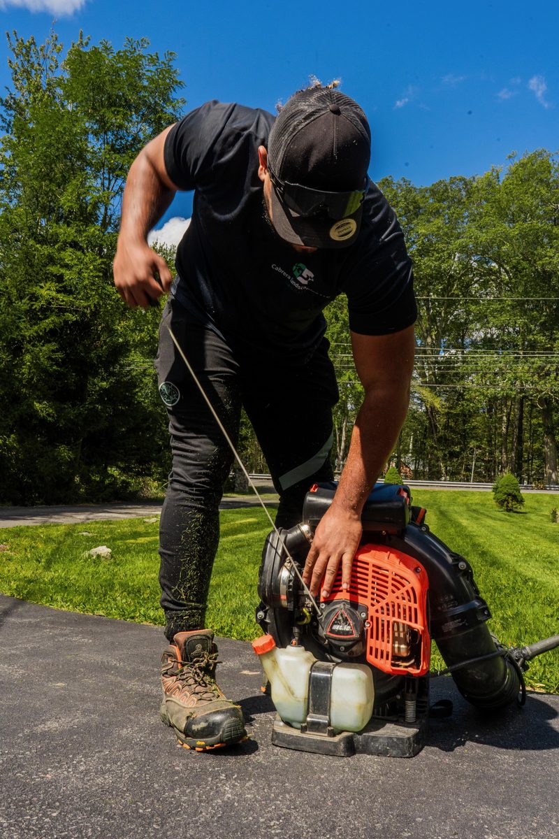 Leaf Cleaning